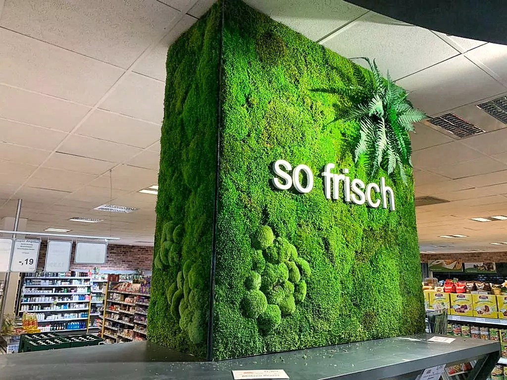 52420292712_ff6f05262e_b