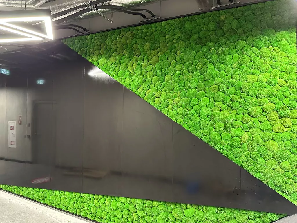 52421244854_fe059669a3_b