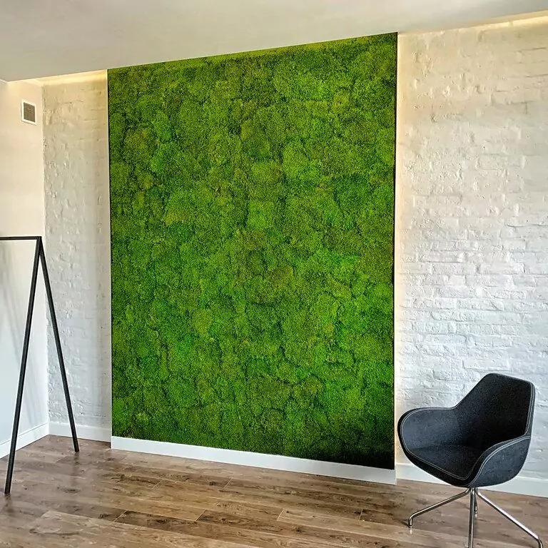 52421249360_03089f1130_b-e1722122861832